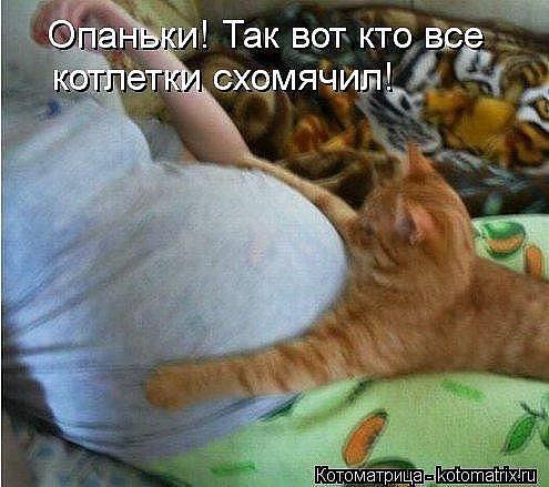 Приколы беременных и рожениц 5