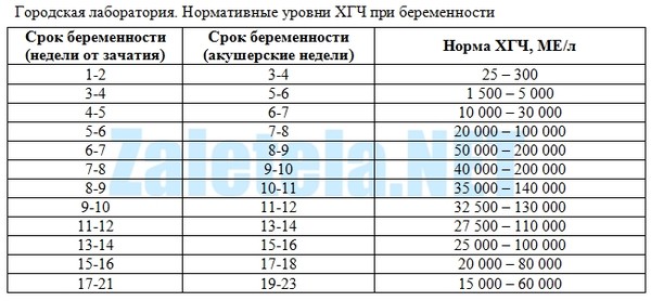 Какой показатель хгч должен быть при беременности на ранних сроках