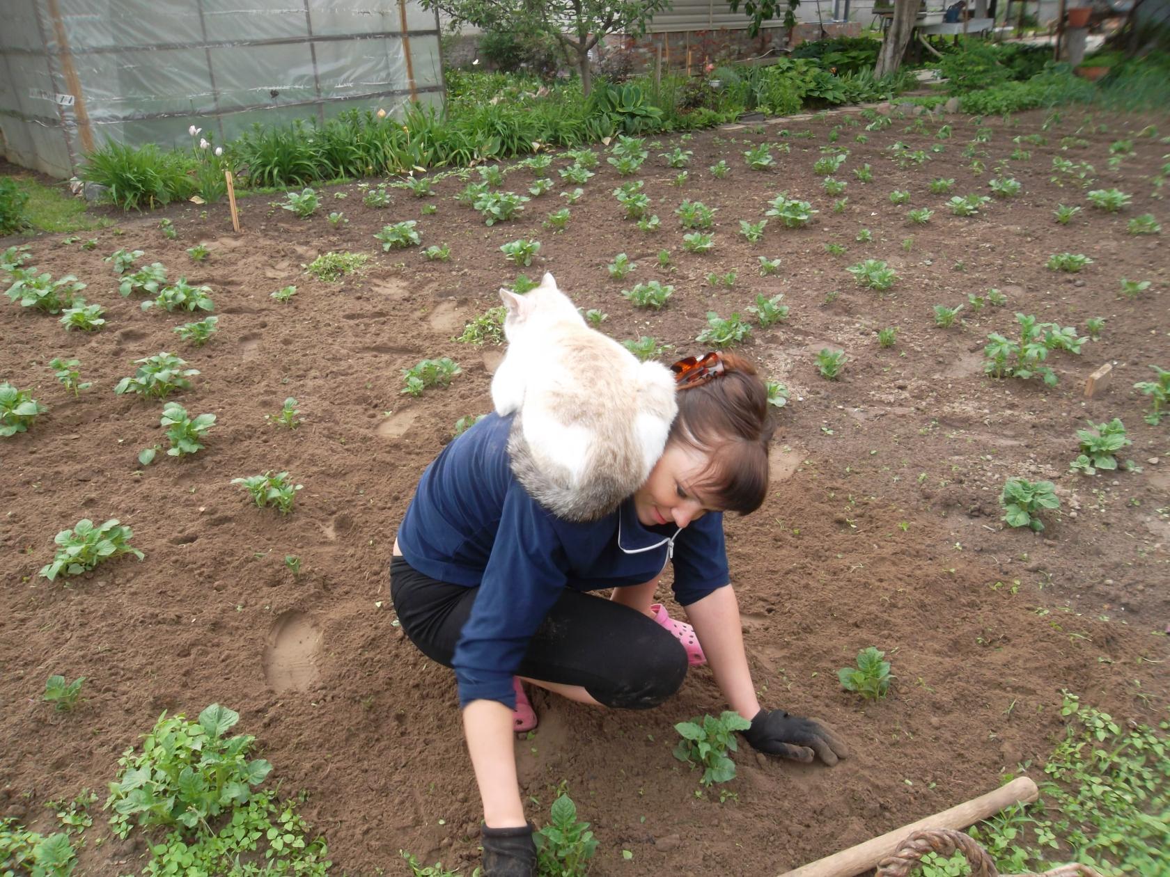 Лариса Козлова во саду ли в огороде