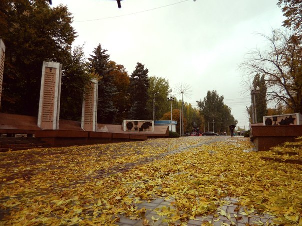 Наш волгоград. Волгоград осень набережная. Набережная Волгограда поздней осенью. Красивые места Волгограда в центре города осенью. Набережная Волгограда осенние фото.