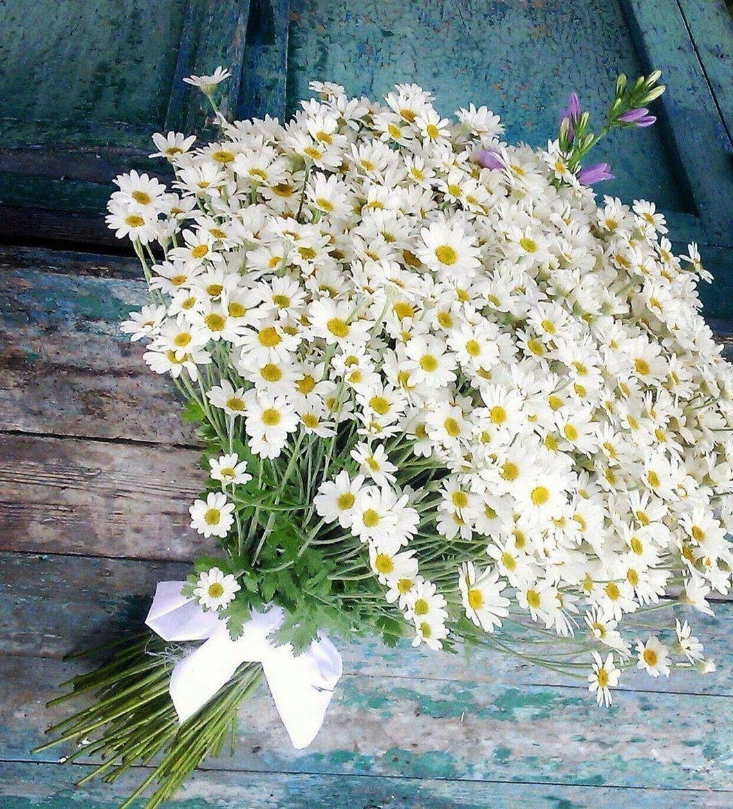 смотреть картинки букеты ромашек